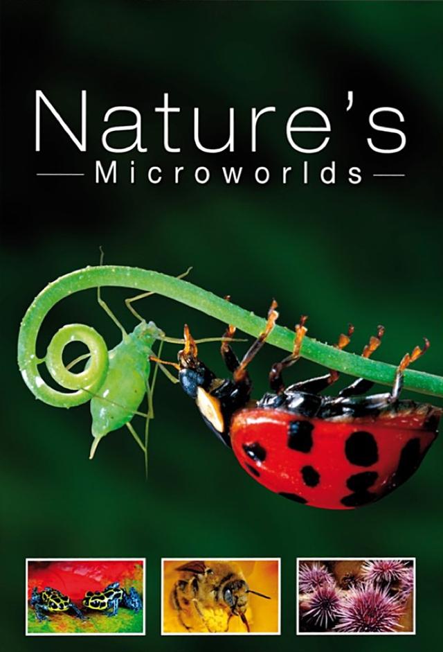 Nature's Microworlds