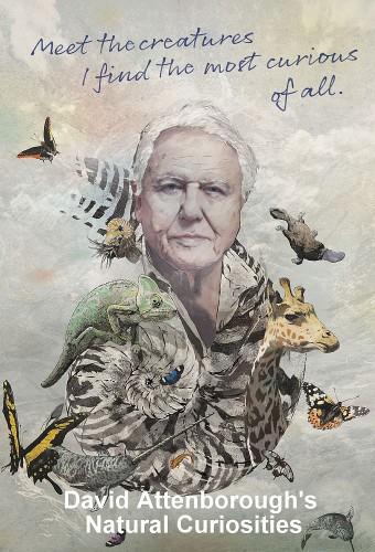 David Attenborough's Natural Curiosities