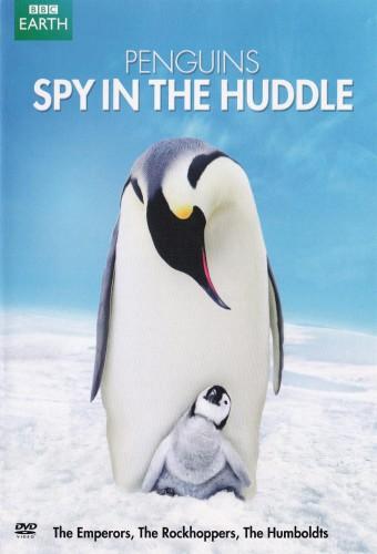 Penguins - Spy in the Huddle