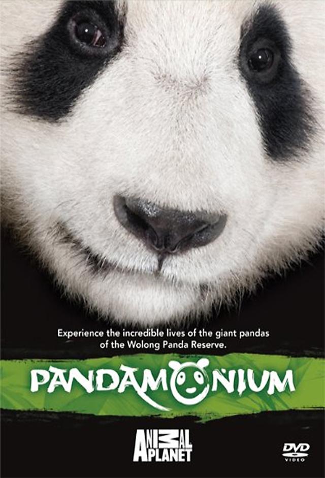 Pandamonium (2008)