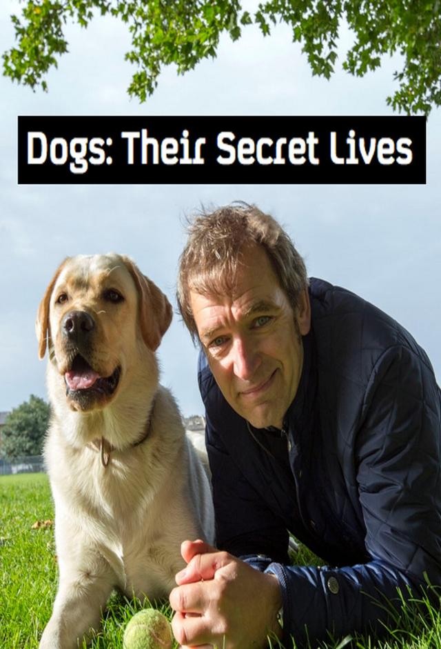 Dogs: Their Secret Lives