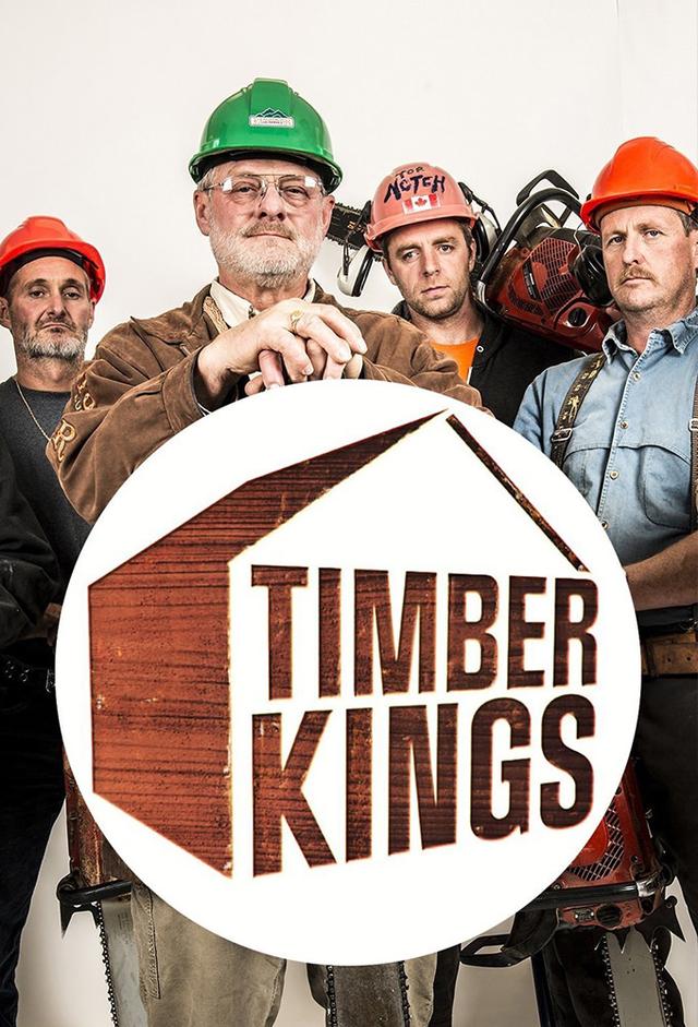 Timber Kings - Blockhaus-Paläste XXL