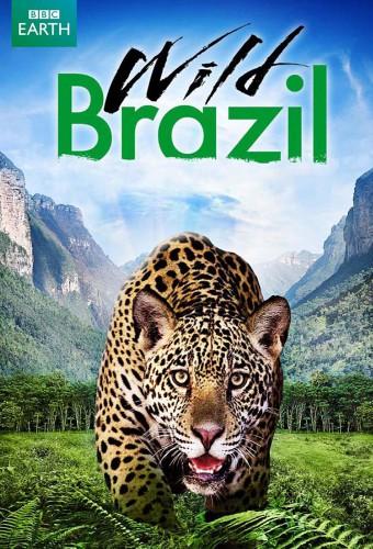 Wild Brasil