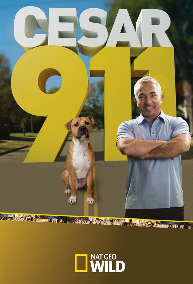 Cesar 911/ Cesar To The Rescue