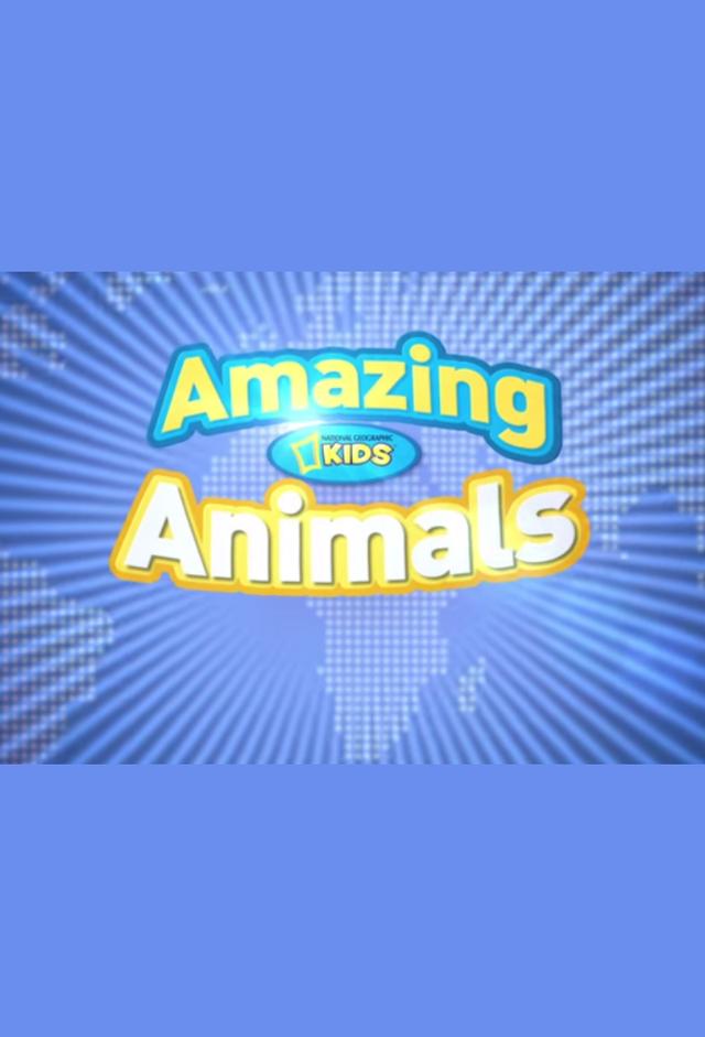 Amazing Animals