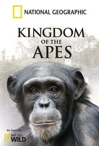 Kingdom of the Apes