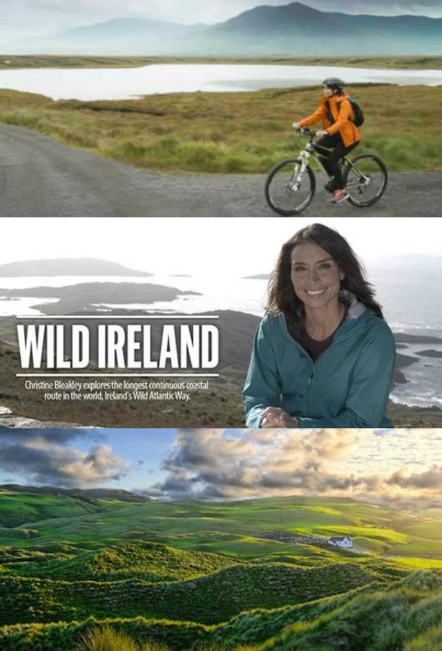 Wild Ireland