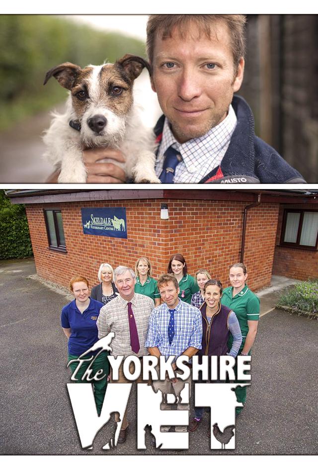 The Yorkshire Vet