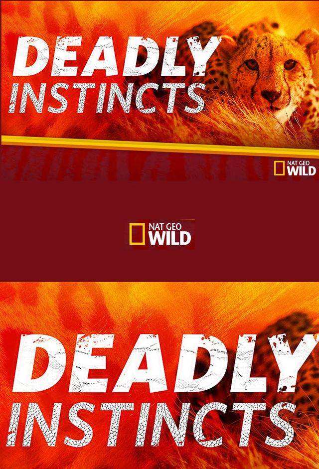 Deadly Instincts