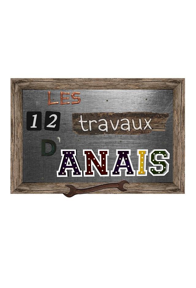 Les 12 travaux d'Anaïs