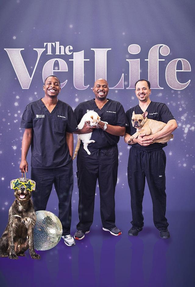 The Vet Life