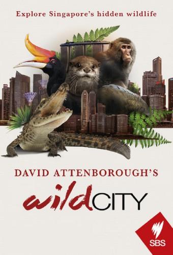 David Attenborough's Wild City