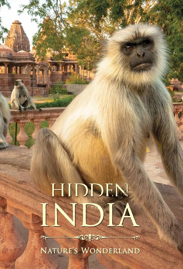 Hidden India