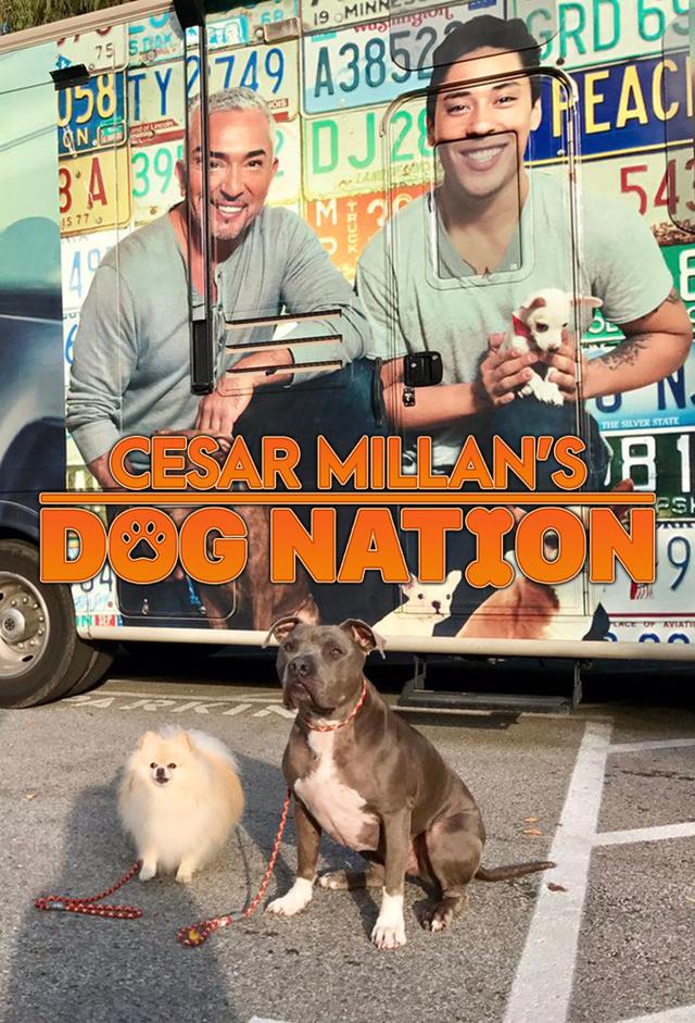 Cesar Millan's Dog Nation