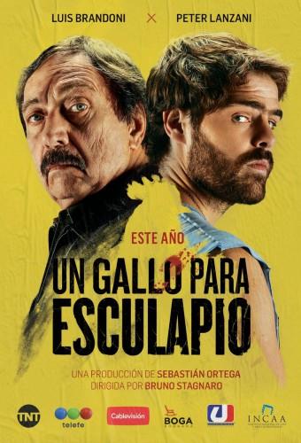 A Rooster for Esculapio