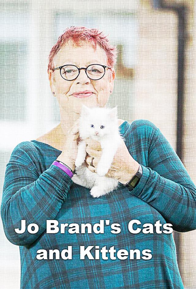 Jo Brand's Cats and Kittens