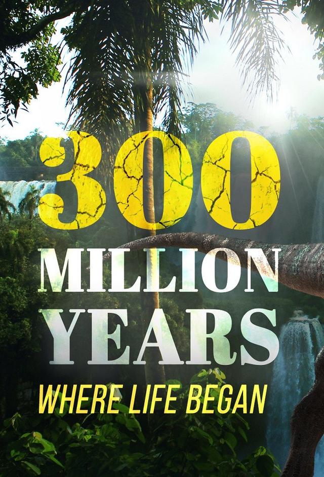 300 Million Years