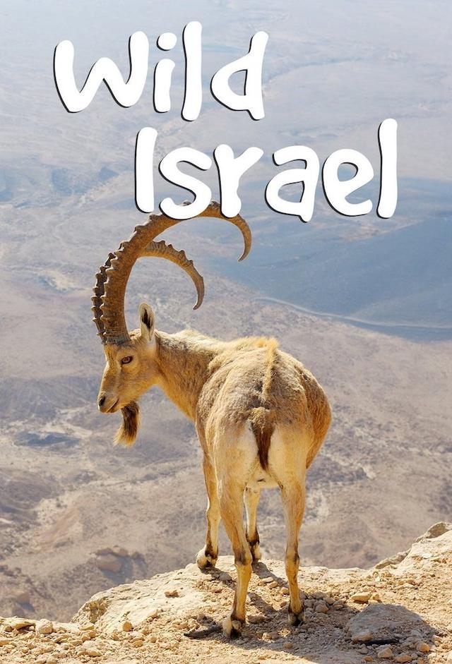 Wild Israel | TV Time