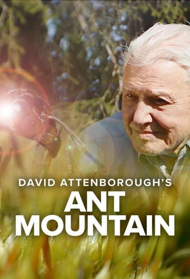 David Attenborough's Ant Mountain