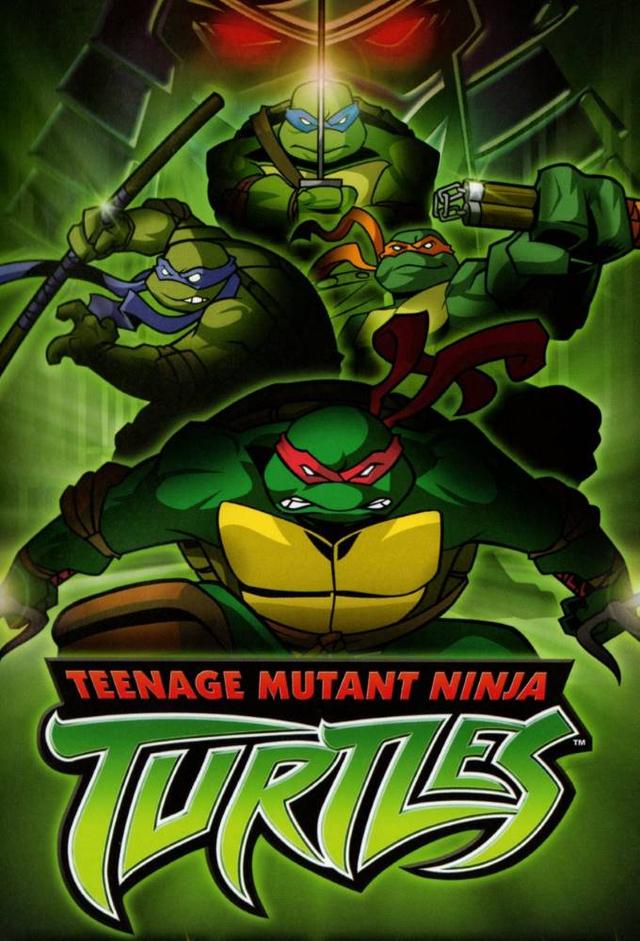 Donatello (Teenage Mutant Ninja Turtles, 2003) - Incredible Characters Wiki