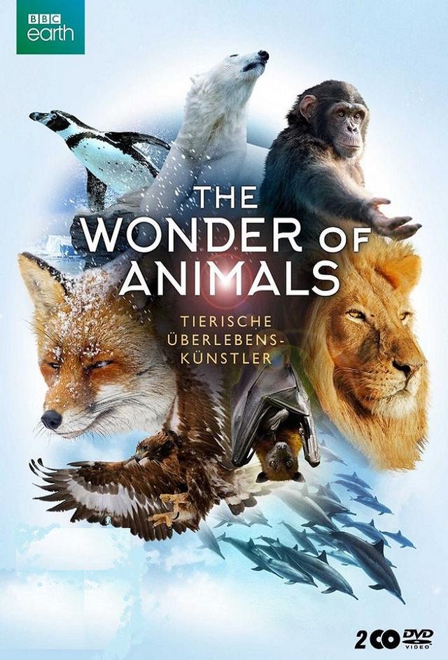 The Wonder of Animals