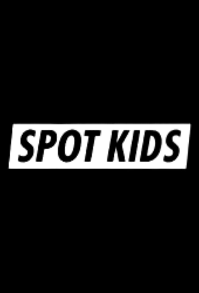 Stray Kids: SPOT KIDS