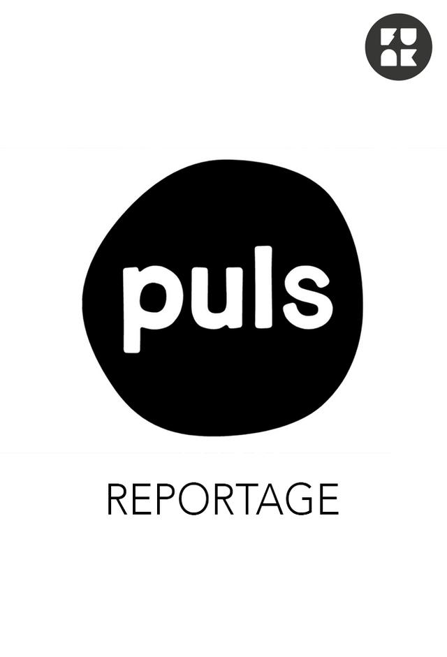 Puls Reportage