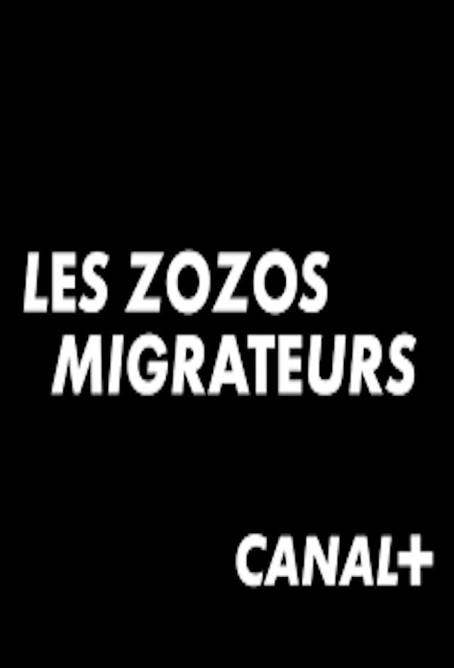 Les Zozos migrateurs