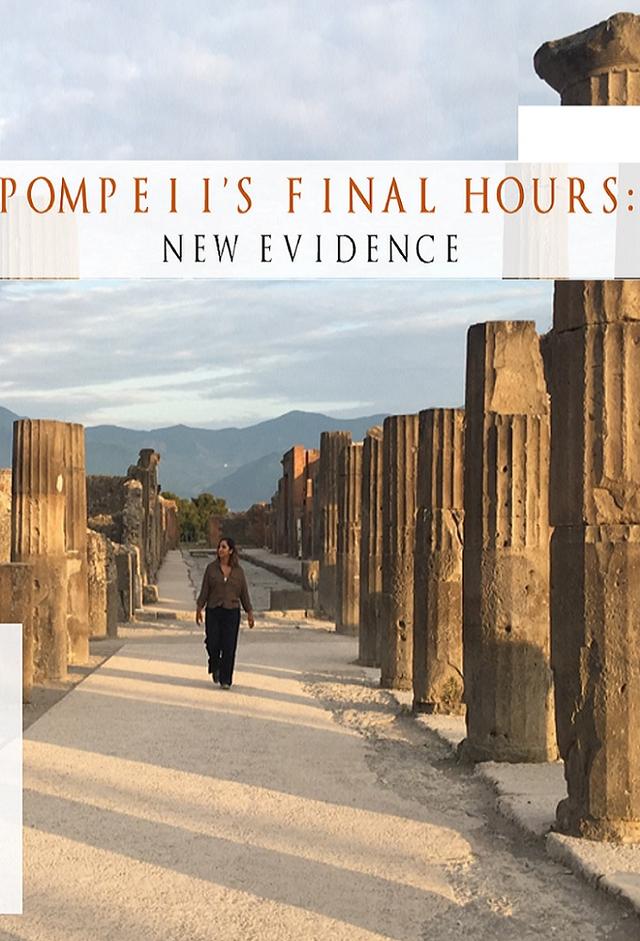 Pompeii's Final Hours: New Evidence