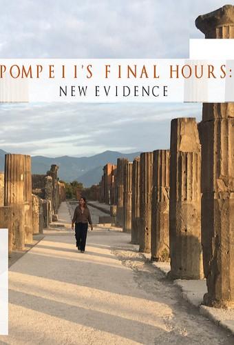 Pompeii's Final Hours: New Evidence