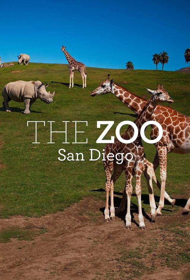 The Zoo: San Diego