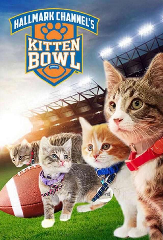 Kitten Bowl