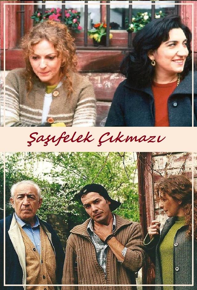 Şaşıfelek Çıkmazı