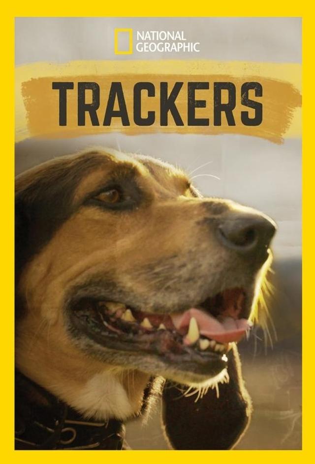 Trackers