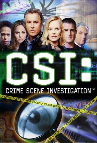 CSI: Den Tätern auf der Spur