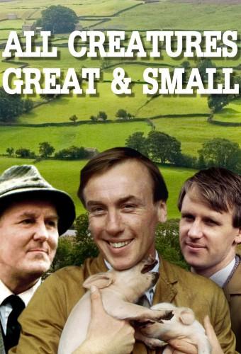 All Creatures Great and Small