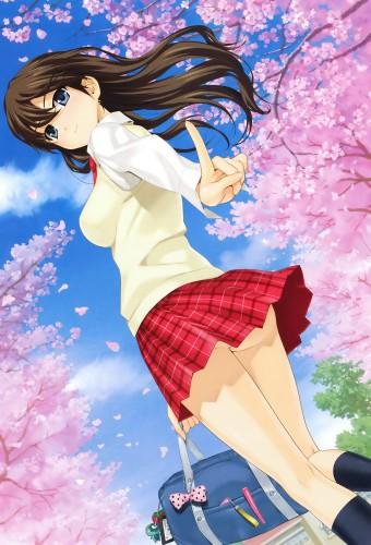 Master of Martial Hearts - Platonic Heart