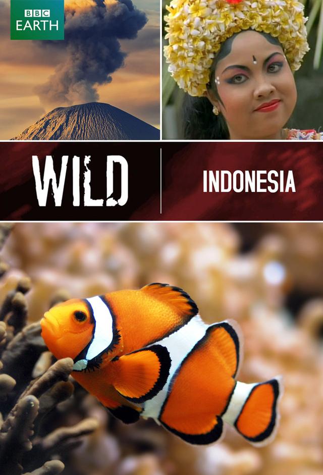 Wild Indonesia