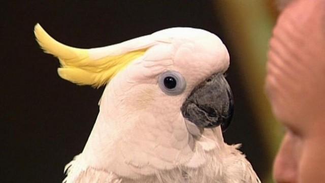 TV total Sendung vom 03.03.2014