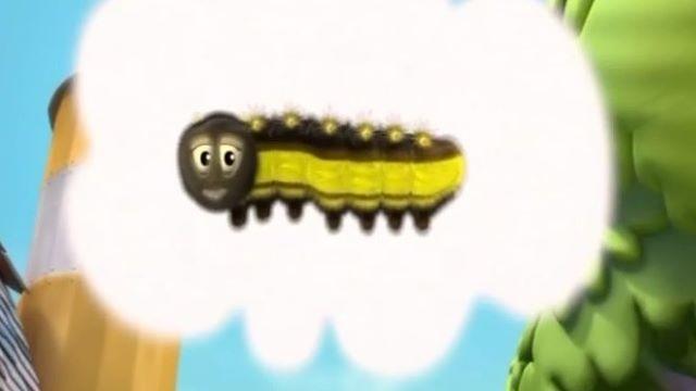 What's Happened to Chloe the Caterpillar?