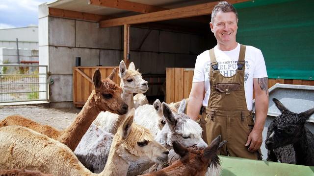 Folge 6: Alpakazüchter Henry freut sich auf seine Auserwählte