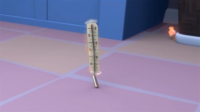 The Thermometer