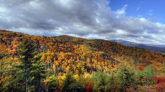 Great Smoky Mountains