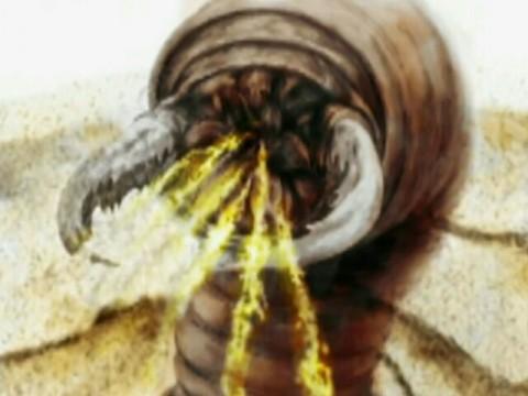 Deathworm