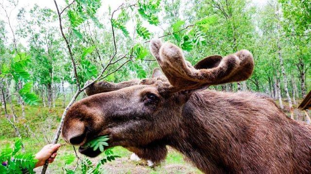 Tierisch unterwegs