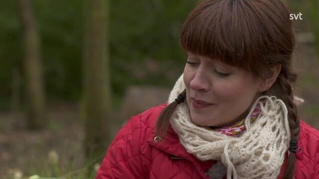 Våren 2012 - Avsnitt 3