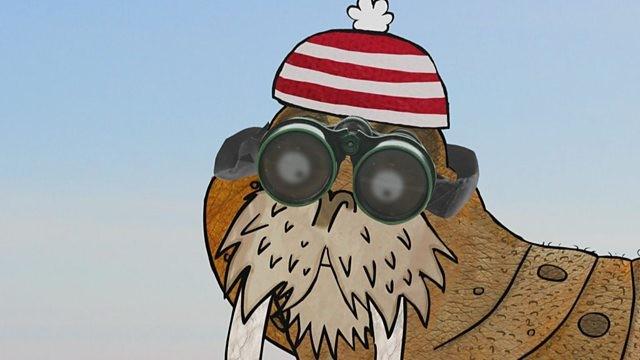 Rockpool Tales: The Short-Sighted Walrus