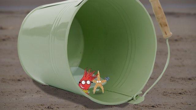 Rockpool Tales: The Big Sandy World