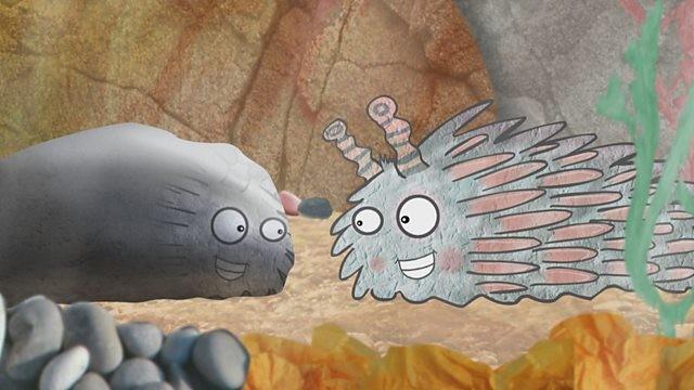 Rockpool Tales: The Beautiful Way I Am