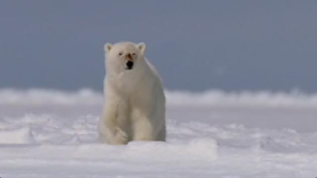 Odyssée sous les glaces